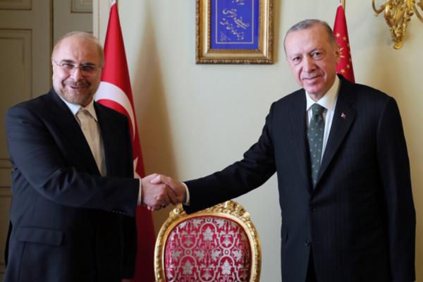 دیدار قالیباف و اردوغان,رئیس مجلس و رئیس جمهور ترکیه