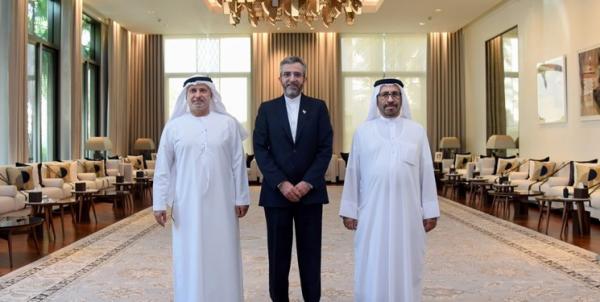 علی باقری,علی باقری و مشاور عالی سیاست خارجی امارات