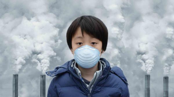 آلودگی هوا,اثرات آلودگی هوا بر ارگان‌های بدن