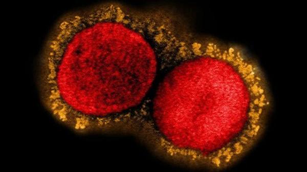 واکسن اومیکرون,کروناویروس