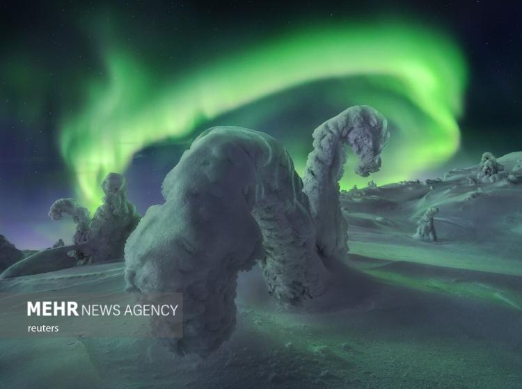 برترین عکس‌های شفق قطبی در مجموعه سالانه نورهای شمالی,تصاویر شفق قطبی,عکس هایی از شفق قطبی