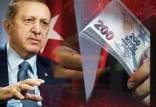 رکوردزنی سقوط ارزش پول ملی ترکیه,سقوط لیر