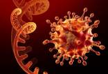 ویروس کرونا,احتمال ابتلای واکسن‌نزده‌ها و مبتلایان قبلی کرونا به اُمیکرون