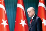 رجب طیب اردوغان,رئیس جمهور ترکیه