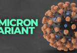 ویروس کرونا,کرونا اُمیکرون