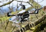 پرنده رباتیک,توانایی پرنده رباتیک در گرفتن شاخه‌ درختان
