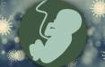 خطر ابتلای جنین به کووید ۱۹ از طریق مادر کرونایی,ابتلای جنین به کرونا