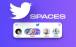 توییتر,قابلیت ضبط Spaces‌ توییتر