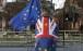 انگلیس,انگلیسی ها خواستار بازگشت به اتحادیه اروپا
