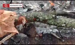 فیلم | سقوط بالگرد نظامی حامل رئیس ستاد مشترک ارتش هند