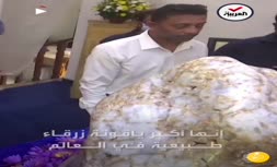 فیلم/ نمایش بزرگ‌ترین یاقوت کبود طبیعی جهان