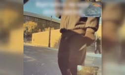 فیلم/ شاهکار تکنولوژی؛ هشدار خودرو تسلا به راننده در خصوص یک فرد مسلح