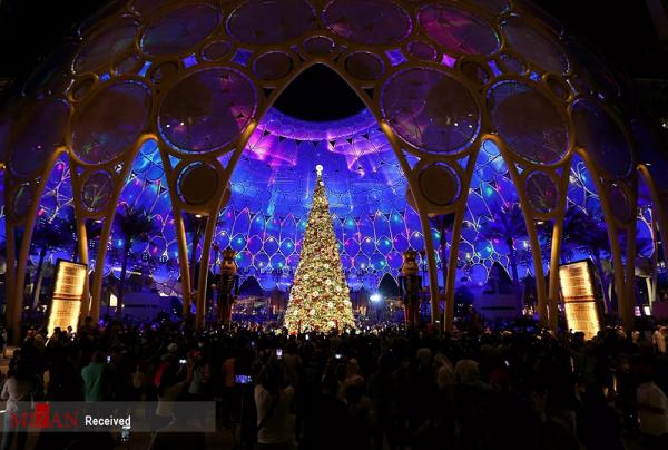 درخت کاج کریسمس در دبی,درخت کریسمس در دبی
