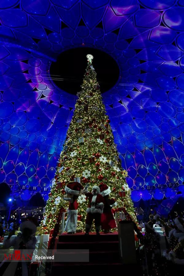درخت کاج کریسمس در دبی,درخت کریسمس در دبی
