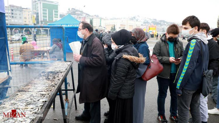 تصاویر جشنواره ماهی آنچوی در ترکیه,عکس های جشنواره ماهی آنچوی,تصاویر جشنواره ماهی آنچوی
