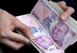 لیر ترکیه,سرمایه‌گذاران در مورد سیاست پولی ترکیه