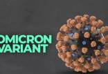 سویه اومیکرون,کروناویروس