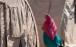 ممنوعیت های جدید در افغانستان,ممنوعیت استفاده زنان از حمام عمومی