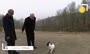 فیلم | توپ بازی اردوغان با یک سگ 