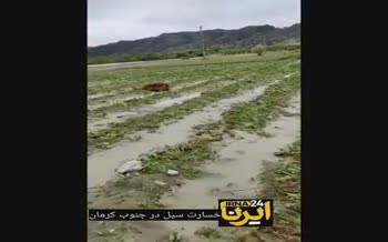 فیلم/ خسارت سیل به بخش کشاورزی در جنوب کرمان