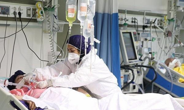 آمار مرگ و میر کرونا در بهمن 1400,وضعیت بیماران کرونایی