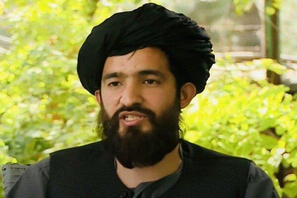 طالبان تروریست, عبدالقهار بلخی سخنگوی وزارت امور خارجه دولت