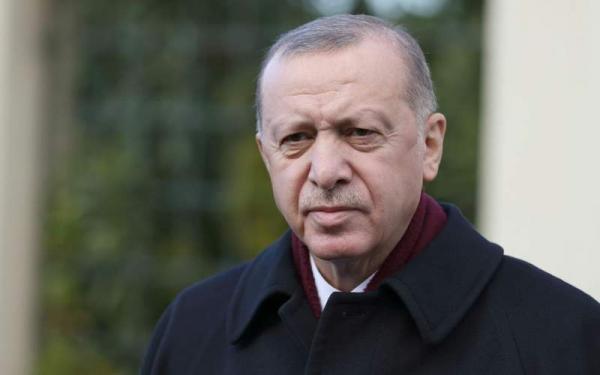 دیکتاتوری اردوغان,اردوغان و اقتصاد ترکیه