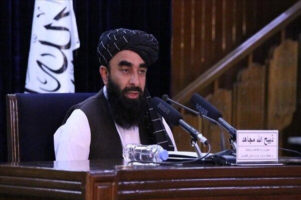 سخنگوی طالبان,سهیل شاهین