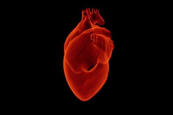 قلب,ژن‌های منجر به حمله قلبی