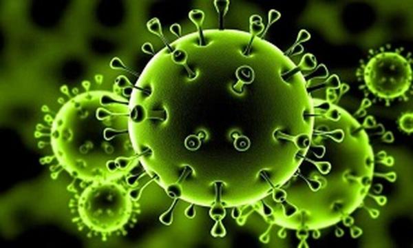 ویروس کرونا,آنتی‌بادی‌های کرونا