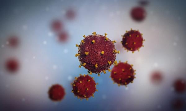 ایدز,کشف گونه جدید و خطرناک ویروس ایدز در هلند
