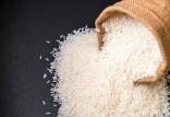 افزایش قیمت برنج خارجی,گرانی برنج خارجی در دولت رئیسی