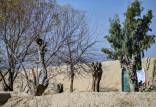 قطع درختان توسط طالبان,طالبان در شهر‌های پلخمری و تالقان