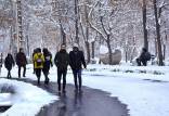 پیش‌بینی شرایط جوی,باران و برف در ایران