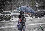 وضعیت آب و هوای کشور,بارش برف و باران در بهمن 1400