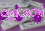 امیکرون,سویه فرعی امیکرون