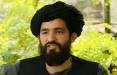 طالبان تروریست, عبدالقهار بلخی سخنگوی وزارت امور خارجه دولت