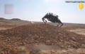 فیلم/ گاومیش رباتیک؛ بزرگترین ربات چهارپای جهان