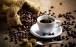 کاشت قهوه,کاهش کاشت قهوه