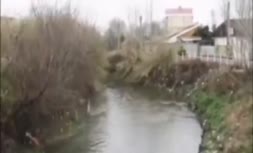 فیلم/ مخفی کردن زباله‌ها برای سفر رئیسی! 