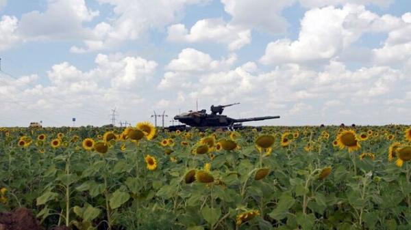 گل آفتابگردان نماد مردم اوکراین,ارتش اوکراین دربرابر روسیه