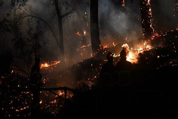 آتش سوزی در تالاب انزلی,آخرین وضعیت خسارات ناشی از وزش باد گرم شدید در استان گیلان