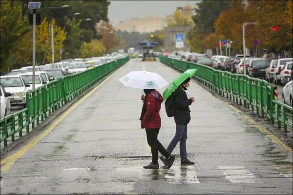 پیش بینی وضع هوا, سازمان هواشناسی