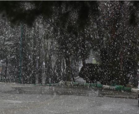 پیش بینی وضع هوا, سازمان هواشناسی