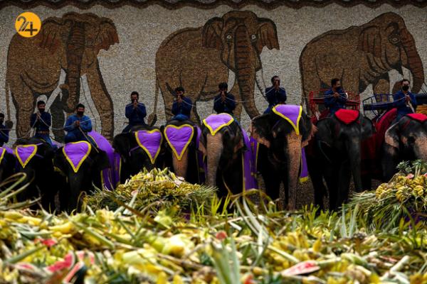 روز ملی فیل در تایلند,فیل های تایلندی