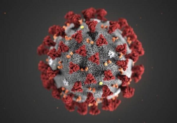 ویروس کرونا,شناسایی ویروس جهش یافته جدید کرونا در اسرائیل