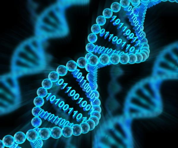دی ان ای,ذخیره اطلاعات دیجیتال بر روی DNA