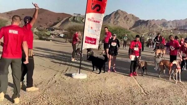 مسابقه عجیب دوی انسان و سگ,سمابقه سگ و انسان در امارات