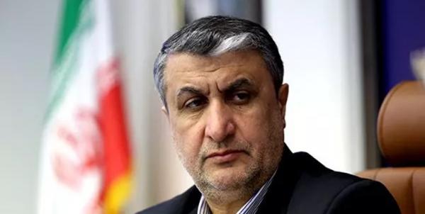 محمد اسلامی,رئیس سازمان انرژی اتمی
