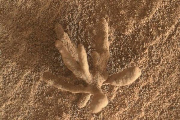 مریخ نورد مریخ نورد,گل